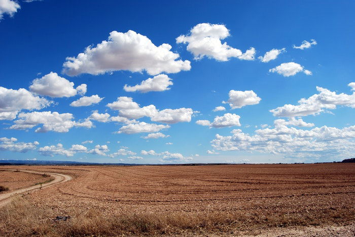 photo of a field with fluffy clouds and a bright blue sky above