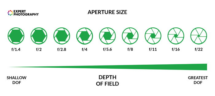 What is Exposure in Photography   And Why it Matters  - 96