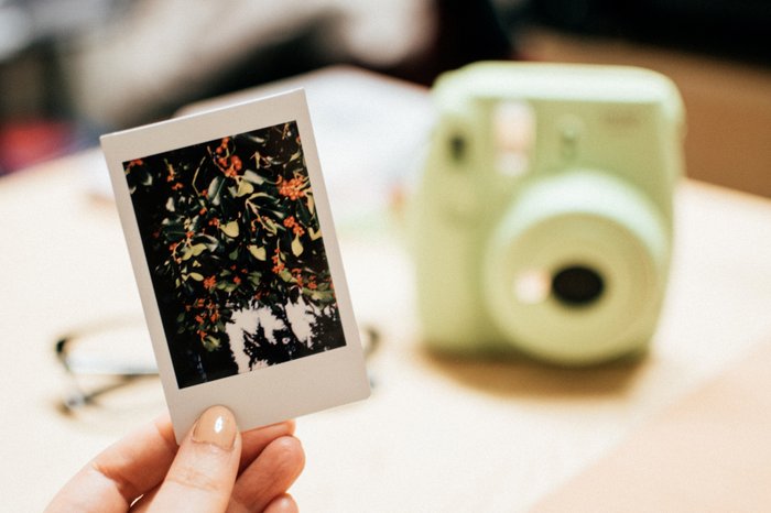 A person holding a printed instant photo of a flower