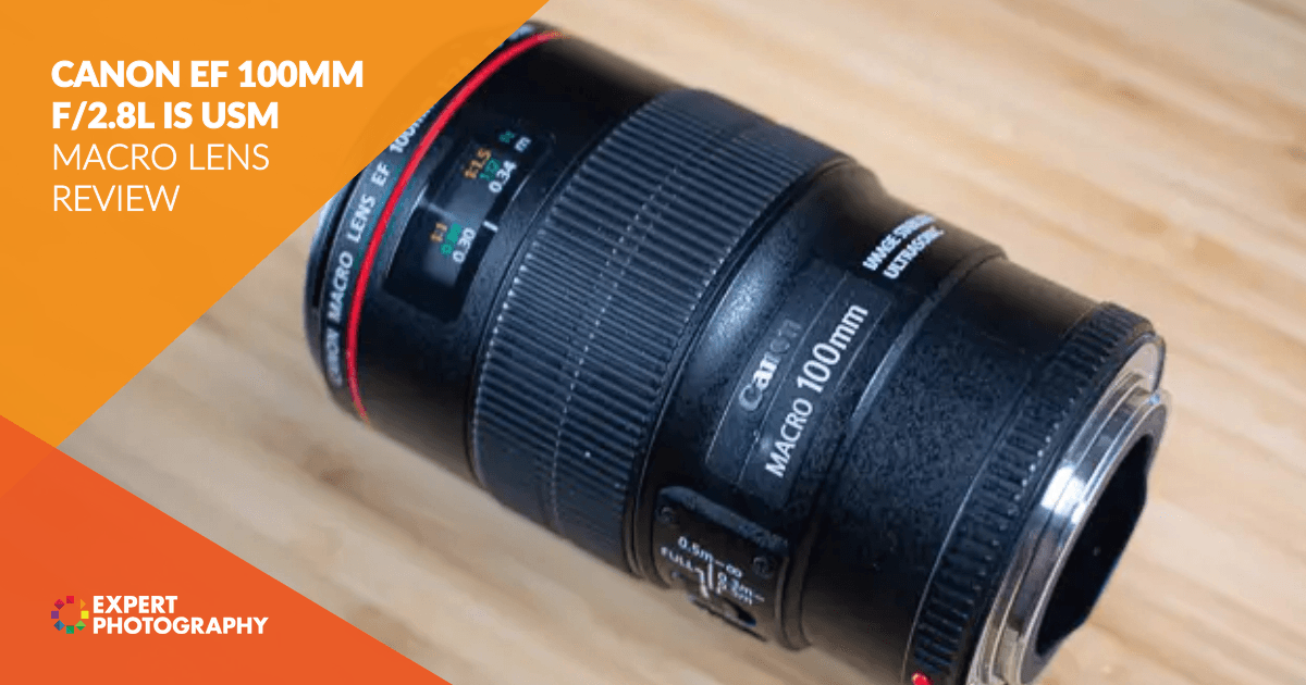 Canon EF 100mm f/2.8L USM Macro Lens Review 2023