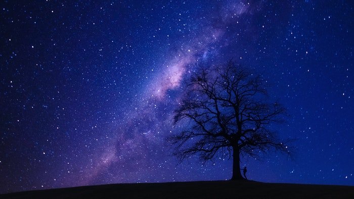 Stunning astrophotography shot of a star filled sky over the silhouette of a tree