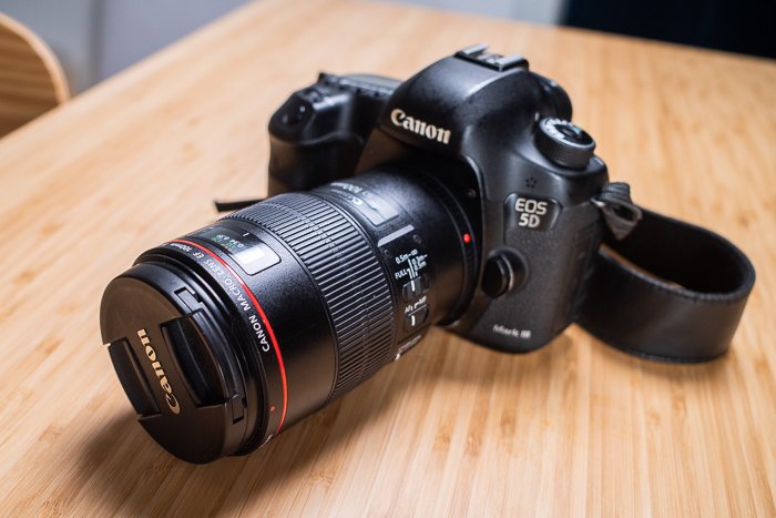 Canon EF 100mm f/2.8L USM Macro Lens Review 2023