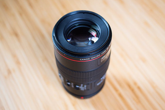 Canon EF 100mm f 2 8L USM Macro Lens Review 2023 - 28