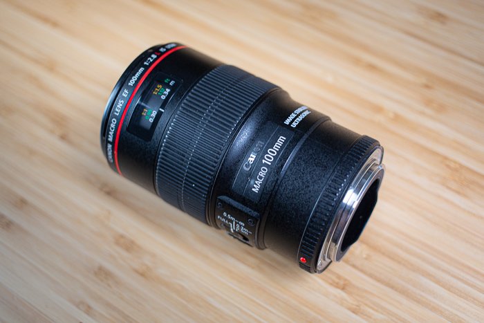 photo of the Canon 100mm f/2.8L lens