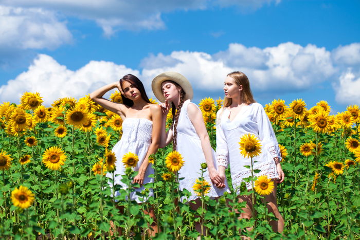 Three girls in white dress standing in a field of sunflowers. In the background the sky is blue and there are white clouds. 