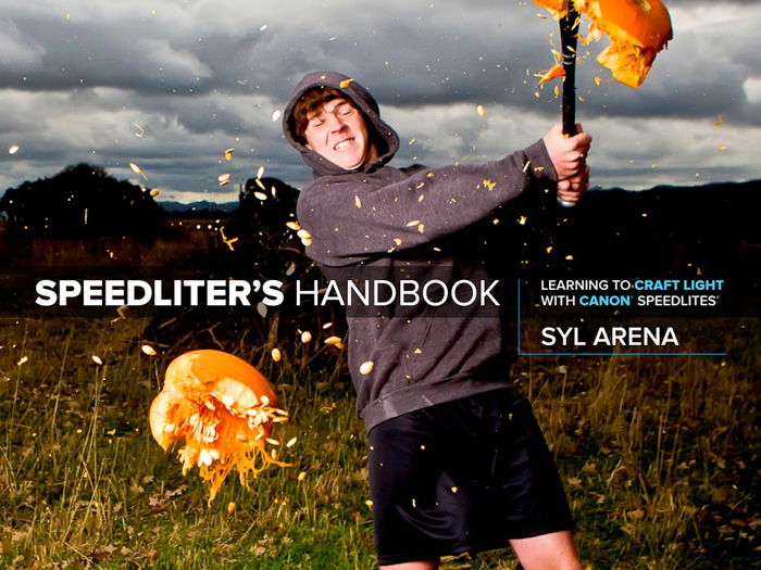 Speedliter's Handbook - Syl Arena