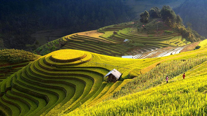 Aerial shot of a beautiful hilly landscape