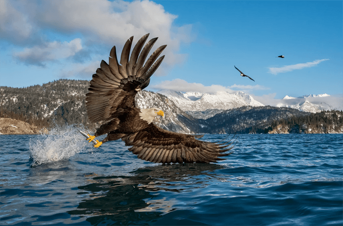 10 Stunning Bird Photos to Inspire You  Bird Photographers  - 84