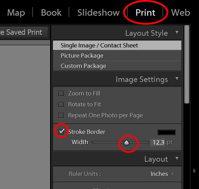 Screenshot of editing black and white photo in Lightroom