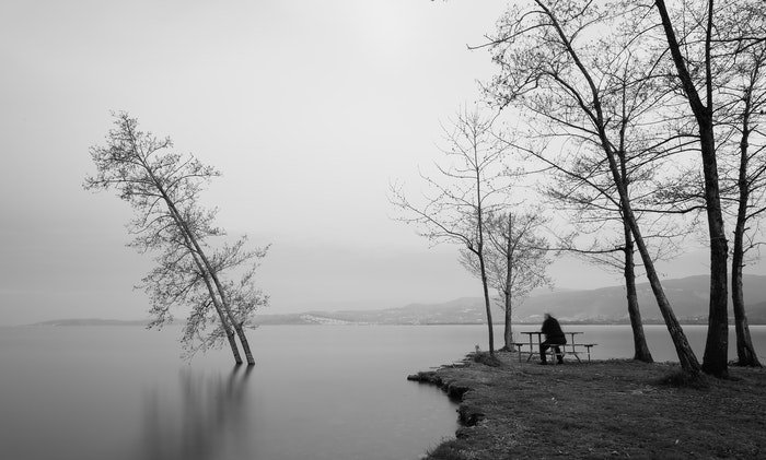 A black and white landscape shot of trees in a lake