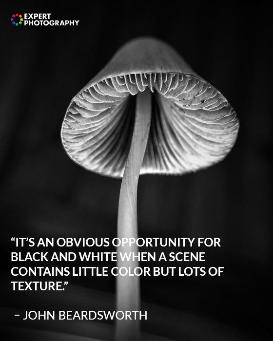 black and white photography with quote overlayed