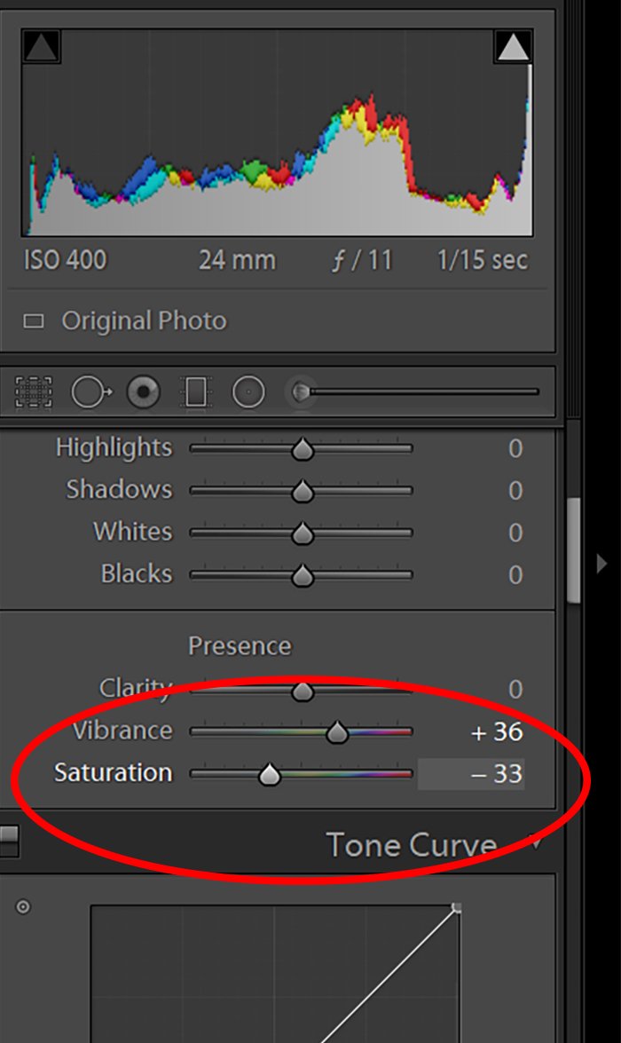 Lightroom presence section with color saturation slider highlighted with a red circle