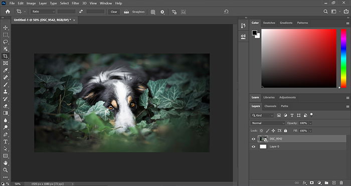 photoshop program like gimp for mac