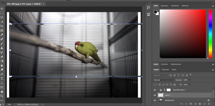 A screenshot of adding a glitch effect in Photoshop
