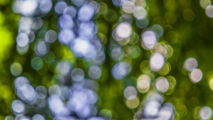 7 Impressive Impressionist Photography Tips You Should Try - 93