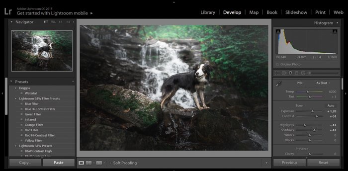 A screenshot showing how to use Lightroom develop presets