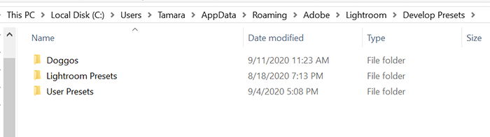 a screenshot of a users desktop lightroom develop presets folder