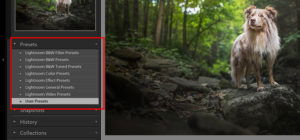 How To Use The Lightroom Preset Settings (Step By Step)