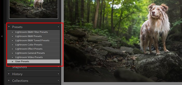 a screenshot of the Lightroom interface highlighting user presets
