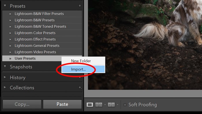 A screenshot showing how to use Lightroom- how to install presets