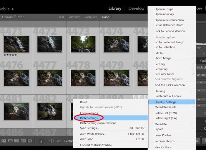 how to paste settings in lightroom during batch editing