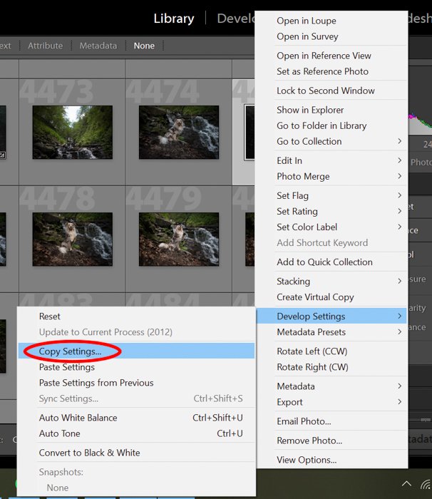 a screenshot showing how to copy settings in lightroom during batch editing