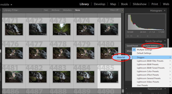 How to Use The Lightroom Preset Settings  Step by Step  - 11