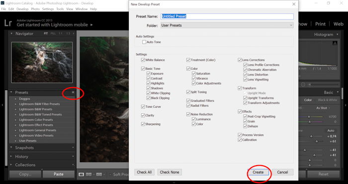 How to Use The Lightroom Preset Settings  Step by Step  - 61