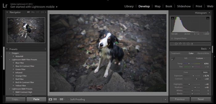 A screenshot showing how to use Lightroom develop presets
