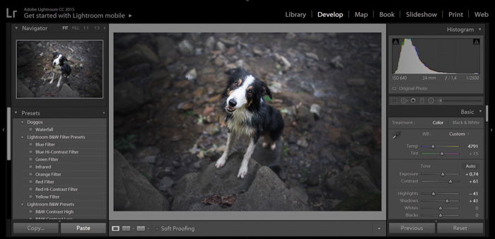 How to Use The Lightroom Preset Settings  Step by Step  - 64