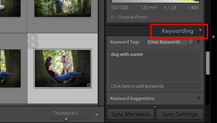 a screenshot showing the keywording option in lightroom