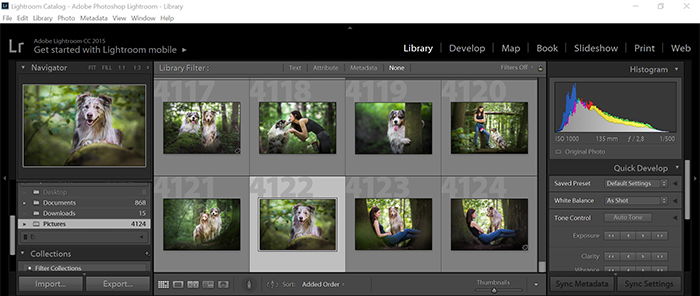 a screenshot of the organization step of the lightroom workflow