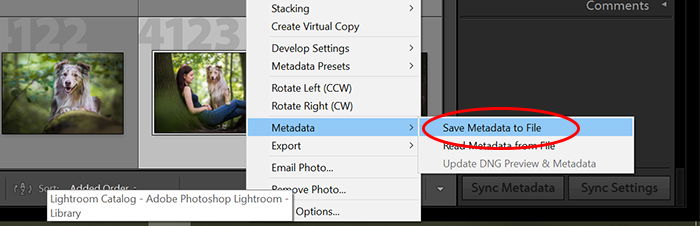 a screenshot showing how to save metadata to file in lightroom