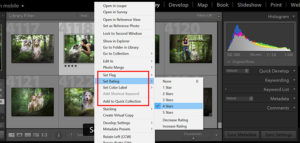 How To Master Your Lightroom Workflow For Faster Editing