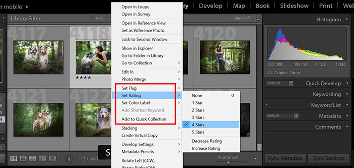 a screenshot showing how to set a rating in lightroom