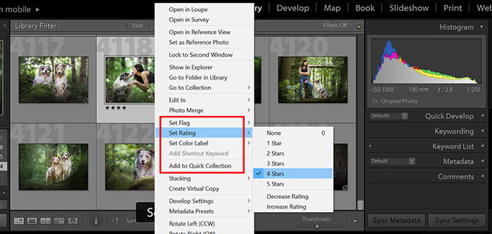 a screenshot showing how to set a rating in lightroom