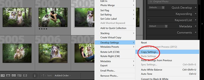 a screenshot showing how to copy settings in lightroom