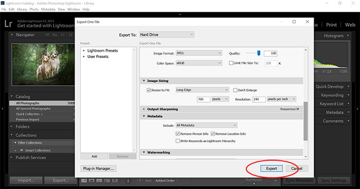 a screenshot showing how to export images in lightroom