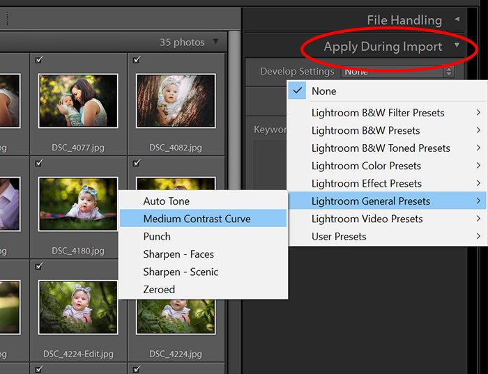 a screenshot of the lightroom apply during import option