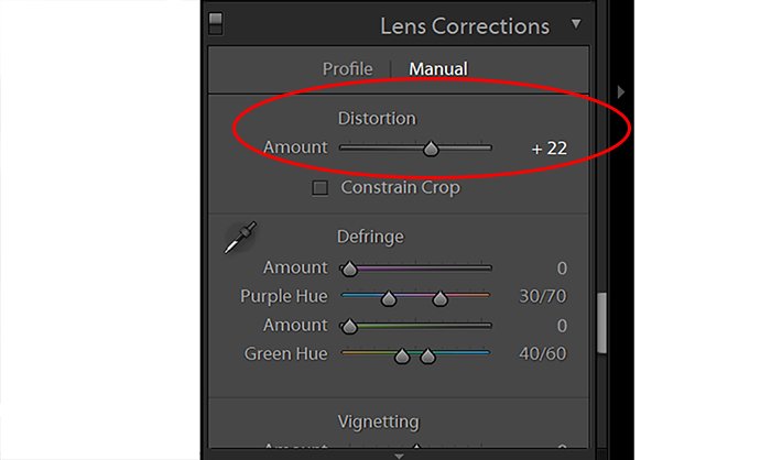 a screenshot showing lightroom correction distortion slider