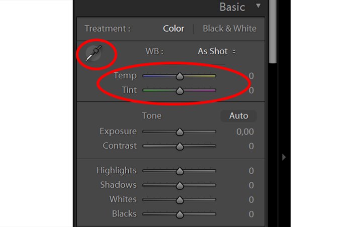 a screenshot showing Lightroom temperature and tint settings