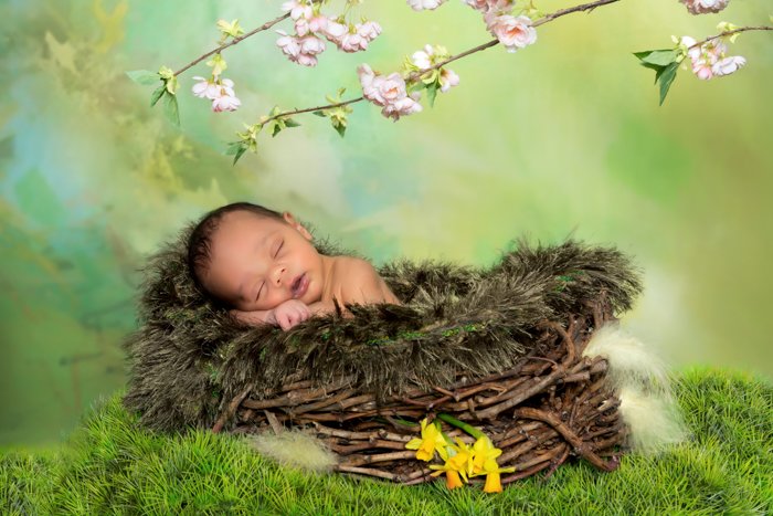 Newborn baby in a basket surrounded by forest themed props