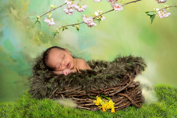 Bebê recém-nascido em uma cesta cercada por adereços temáticos da floresta