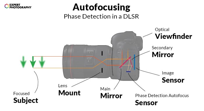 infographic about autofocusing in a DSLR