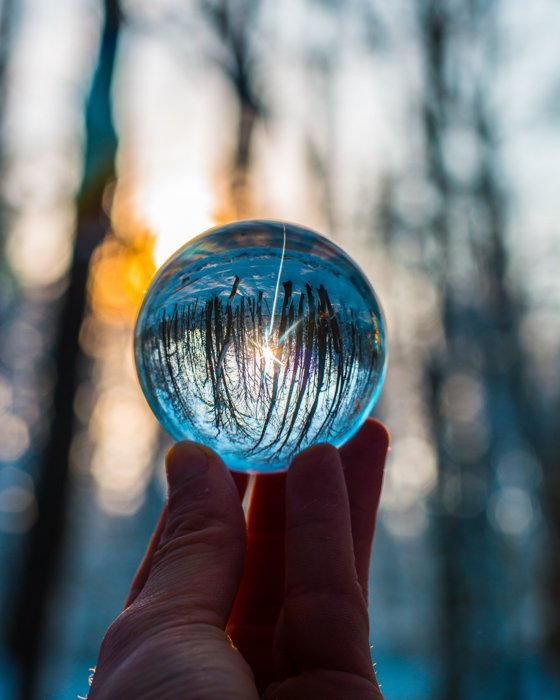 A person holding a lensball to a forest to create a cool upside down photography effect