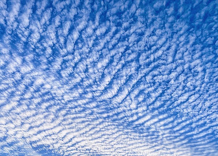 Patterned clouds in the sky