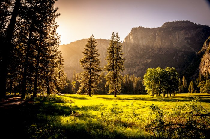 Photo of a forest during sunset, with mountains in the background