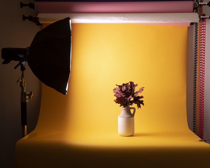 A still life photoshoot of a vase of flowers in an enclosed structure