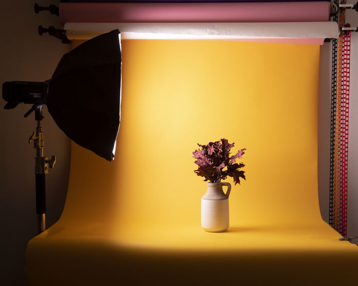 Softbox vs. Umbrella for Product Photography. Which Is Better?