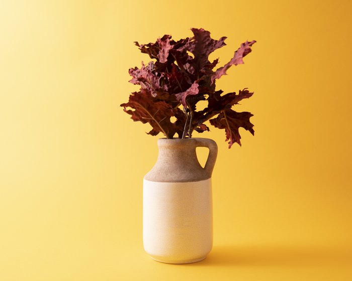 A vase of leaves against a yellow background